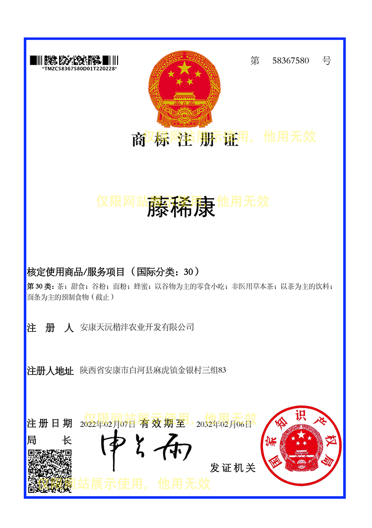 藤稀康.jpg