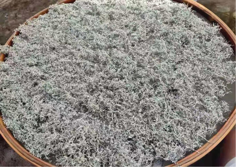 微信图片_20220301215134.jpg